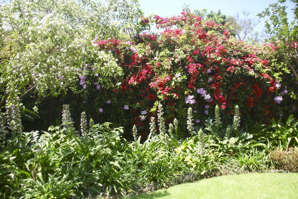 Melville Manor Guest House Johannesburg Exterior photo