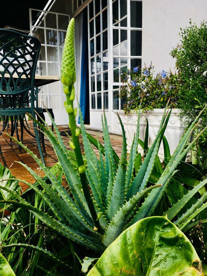 Melville Manor Guest House Johannesburg Exterior photo